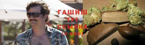 индика Нягань