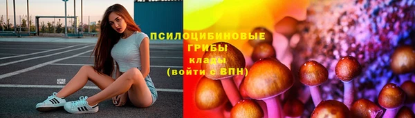 трава Вуктыл