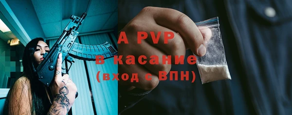 индика Нягань