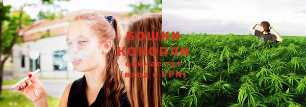 индика Нягань