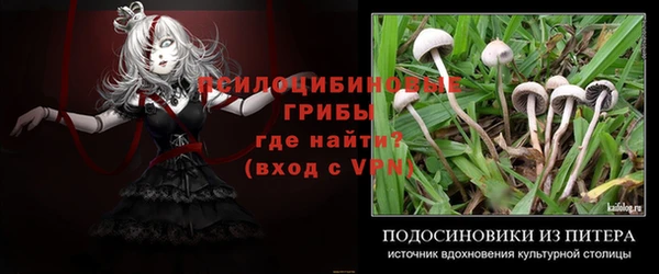 ГАЛЛЮЦИНОГЕННЫЕ ГРИБЫ Нижний Тагил